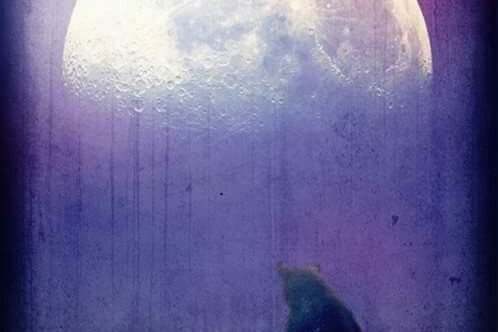 424ee3a98fe6db73d18f019a4b5d9cd2