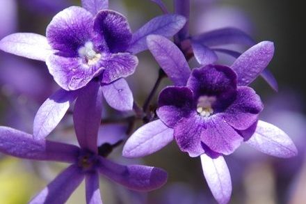 c4e389b5f3dc131ee8cdd98fc86006d4